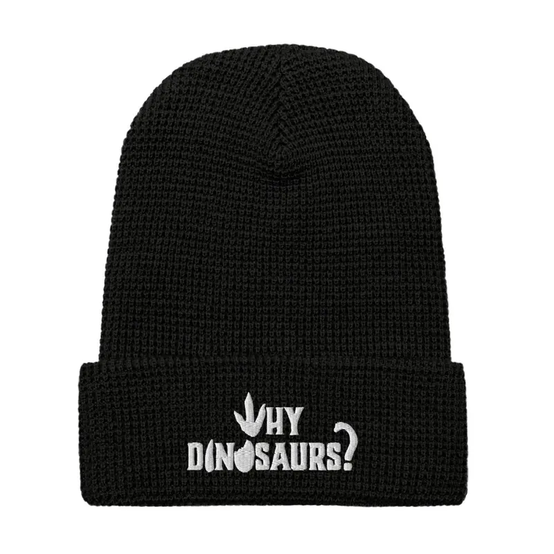 WHY DINOSAURS Waffle Beanie