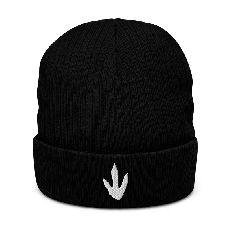 WHY DINOSAURS Beanie (Track)