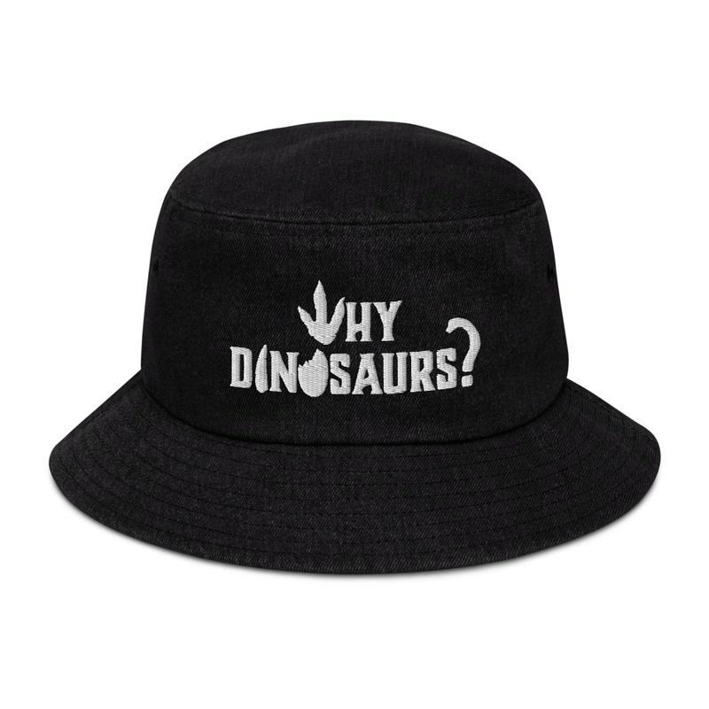 WHY DINOSAURS Bucket Hat