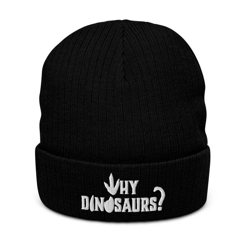 WHY DINOSAURS Beanie